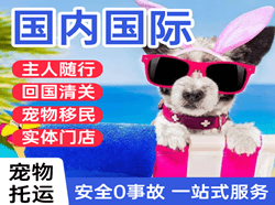 阿尔山机场快递国际宠物托运 【国